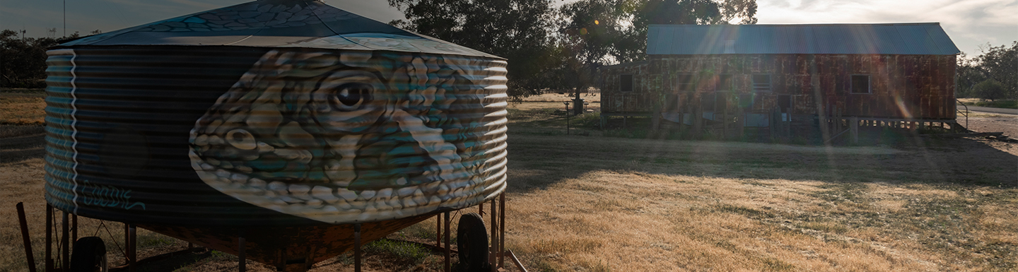 Artwork painted on water tank in country setting
